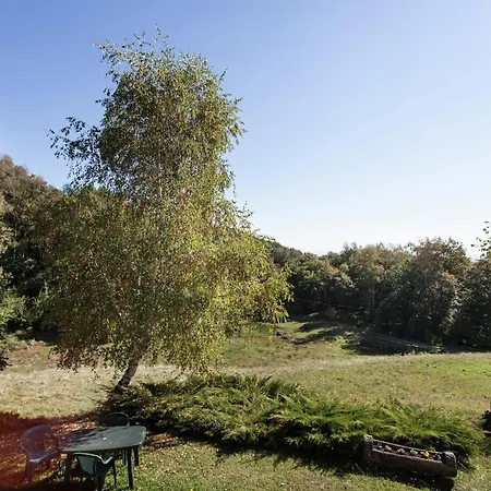 In With Balcony And Views 아파트 *